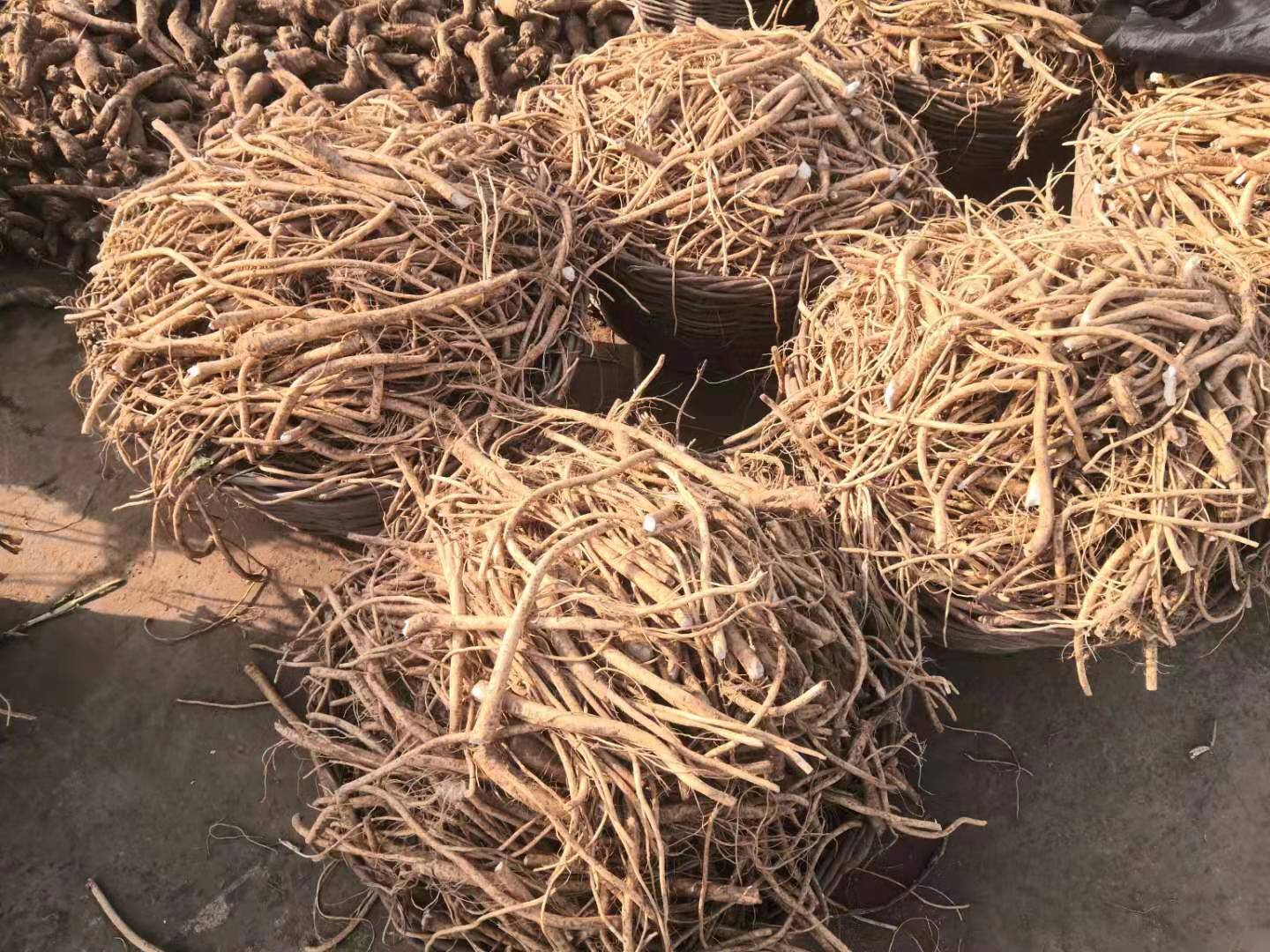 告訴你芥末和辣根的區(qū)別！